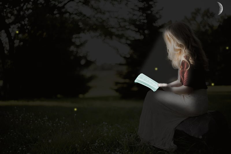 Firefly Serenade