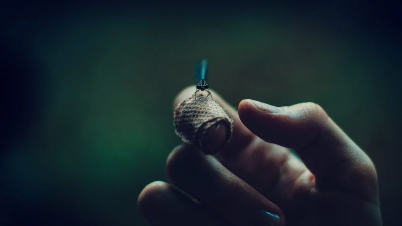 Fireflies Serenade