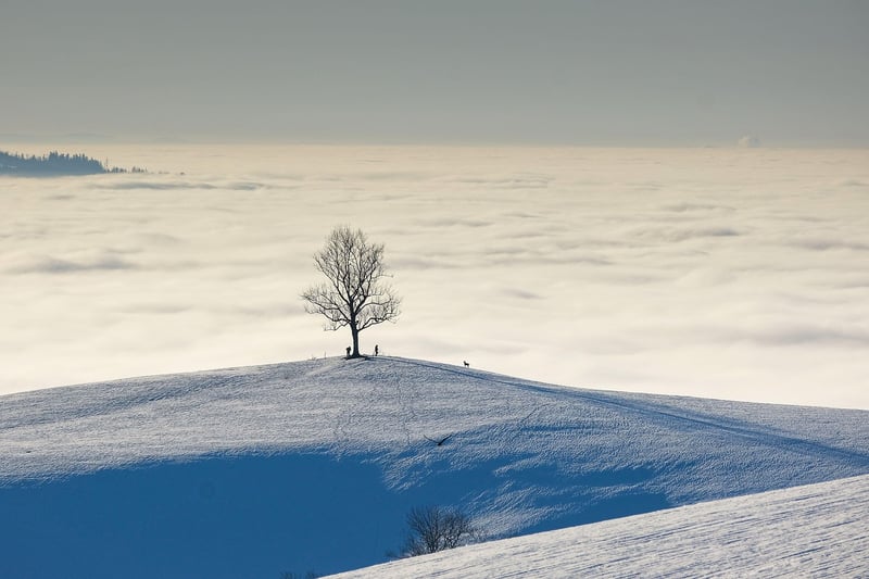 Enchanting Landscape